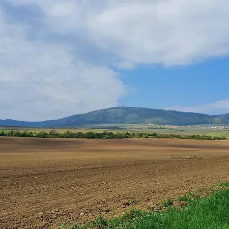 Dum C. 6 - Rekreacni Domy Milovice Milovice (South Moravian)